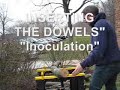 Shitake Mushrooms Inoculation