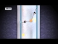 Angry Birds | euromaxx