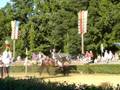 Knights Issue their Challenges on the Jousting Lists