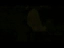 Trailer - Hellboy The Science Of Evil