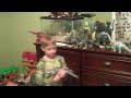 Jase Tyler Dinosaur Show