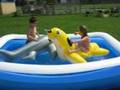 Summer-Fun-2
