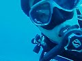 マダラトビエイ