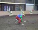 Dogfrisbee Dogfrisbee