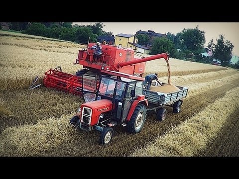 Bizon - Czytaj Opis ☆ Witajcie, dziś kolejny filmik że żniw, tym razem w roli głównej poczciwy polski Bizon :) ☆ Informacje : ♢ Przenżyto : ok 4 t/ha ( Klasa Ziemi...