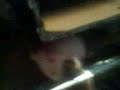 ese fue un gran dia jeje
descubrimos ke frank era mujer xddd

oo si ke buenos tiempos jajaja

eeemmm tmb se andaban colgando de las paredes :s