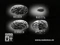 Racist brain