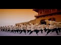 趙文卓動作Solo