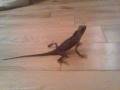 videos de Video000.3gp