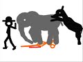 Pivot Animations - Cowboys dont act like that! Pivot Animations - Cowboys dont act like that!
