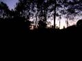 videos de Birdsong - early morning in Harare - 1