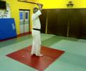 Aikido Happo Giri