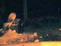 videos de riding on a log (its a joke).mov