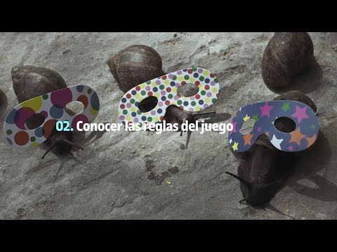 Conocer las reglas del juego