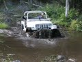Beaver create obstacles for Jeepers  ORA