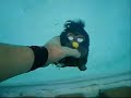Not Without My Furby