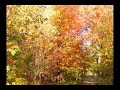 Autumn Concerto Autumn Concerto
