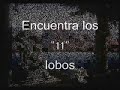 Ilusiones Opticas Ilusiones Opticas