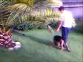 Pistagem - 3� Treino