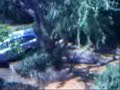 Vibo Marina 3/7/2006