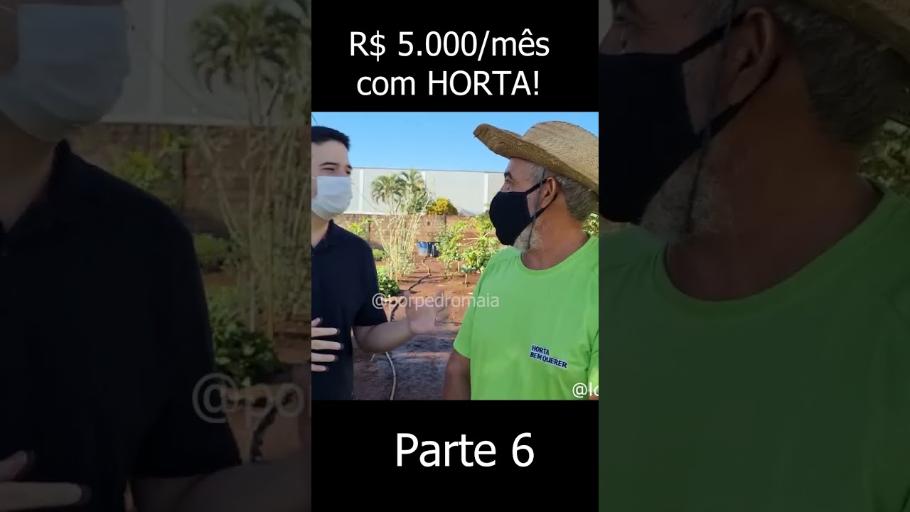 [PARTE 6] Como fazer R$ 5.000 (dinheiro) por mês com horta ?  #agricultura #agro #hortalicas