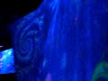 Goa Indoor - Secret Night 3