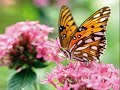 Quatro Esta�oes
