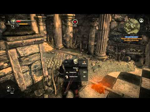 The Witcher 2 : Assassins of Kings