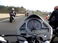 Passeio Hornet I Passeio Hornet I