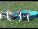 Beating the Heat