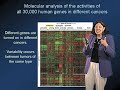 Molecular Genetics a