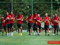 ANTI CIMBOM ANTI CIMBOM