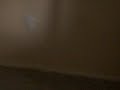 fdsgfdsfd fdsgfdsfd