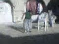 Sedie volanti!!