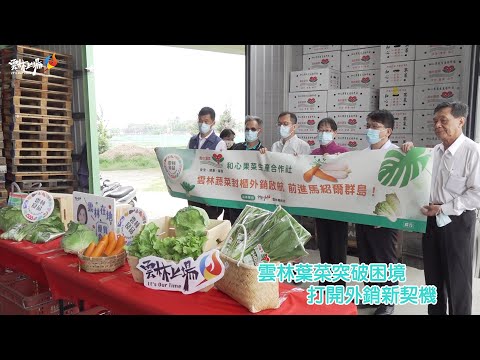 雲林蔬菜突破困境 外銷馬紹爾群島