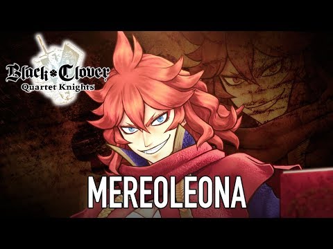 Vidéo 1