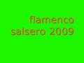 flamenco salsero 2009