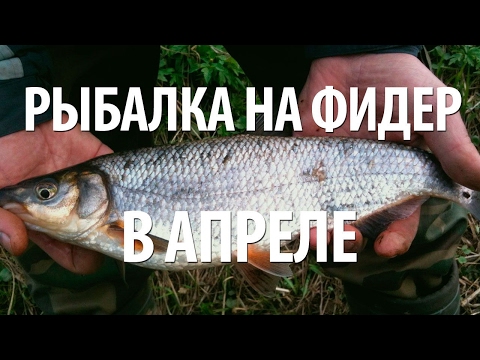 рыбалка видео весна апрель фидер рыбалка видео весна апрель фидер