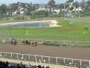HORSE-RACING 2