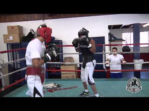 Roy Tapia Videos