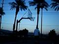 cali b-ball