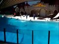 Marineland's King Waldorf Stadium Dolphin Show