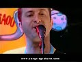 10 ans d'�ge ! le premier dvd live de sangria gratuite vient de sortir.
retrouvez l'int�gralit� du concert et toute l'�nergie du trio festayre !
1h30 de pur d�lire avec en bonus, le film documentaire sur les coulisses de sangria et 3 clips vid�o.
pour le commander, rendez-vous sur : www.sangriagratuite.com


sangria gratuite groupe fran�ais de rock festif sur tv7 bordeaux. les dates de concerts,tous les albums et dvd sur www.sangriagratuite.com
