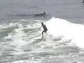 ViSalus' Blake Mallen surfing outside his Baja condo
