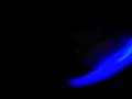 tek-e light show 5