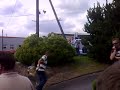geordies-in-a-bush.html