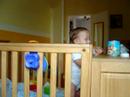 hugo elwes armas 15 meses