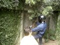 to�o el bailador