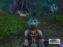 Wow Rogue PvP 19