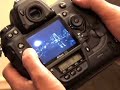 Nikon D3 Nikon D3